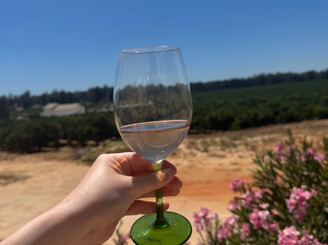 Villa Alvor - Wine & Tourism-阿沃必去景点