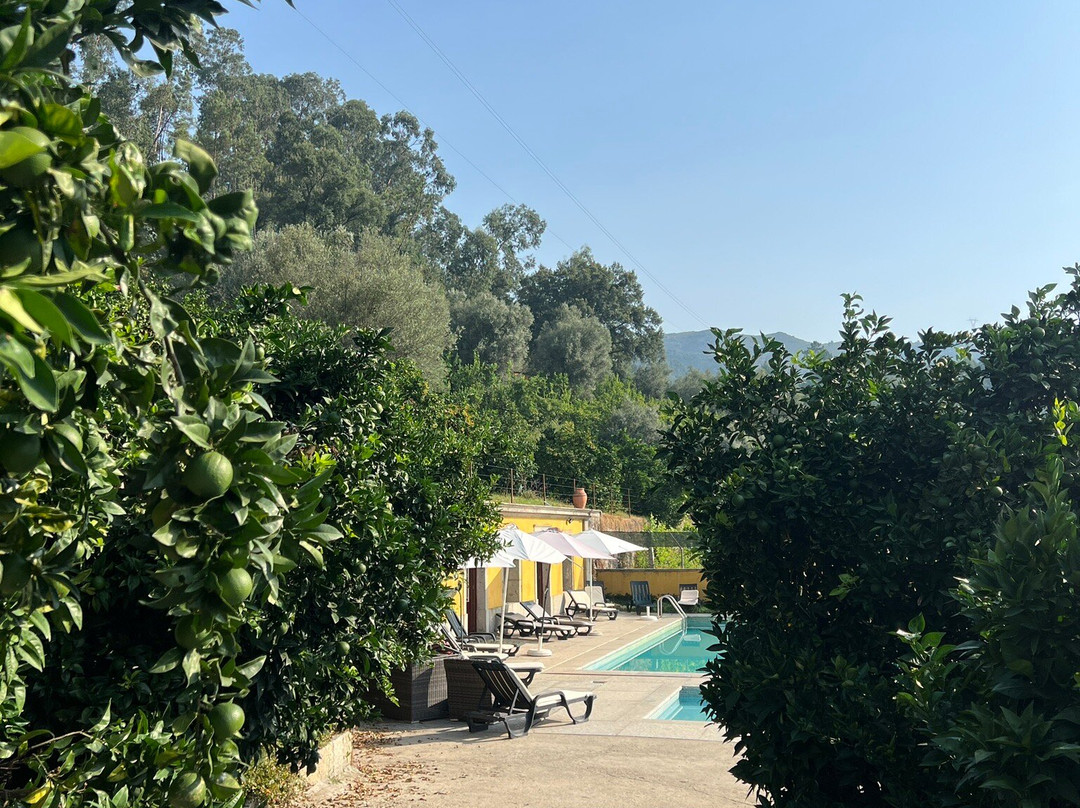 Quinta do Rocha主图