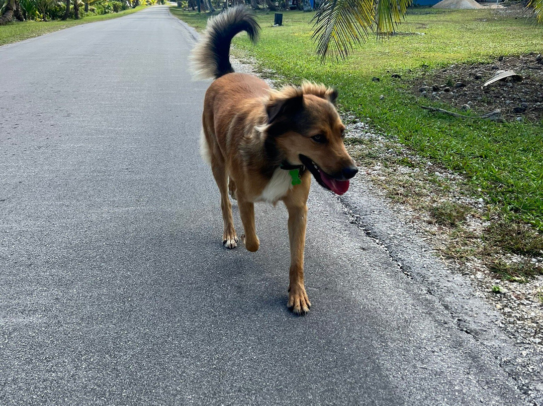 纳姆库鲁小屋温泉旅馆主图
