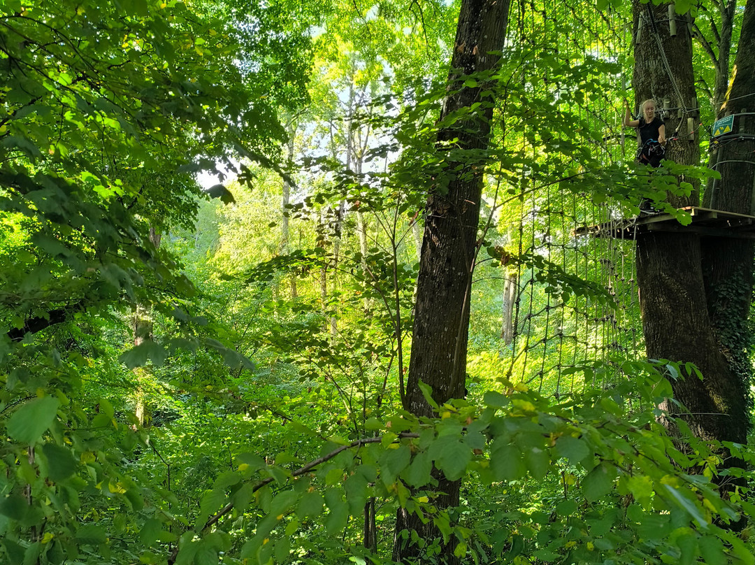 Parcours Aventure de Sciez-Sciez必去景点