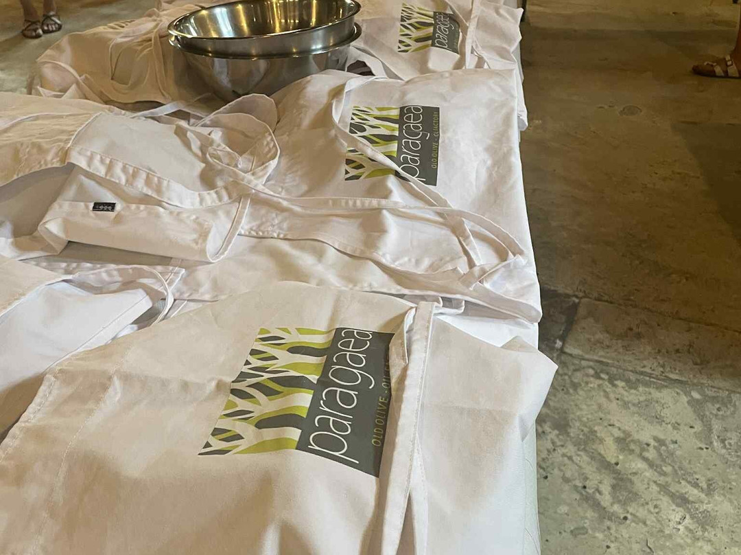 Paragaea - Old Olive Oil Factory-帕尔加必去景点