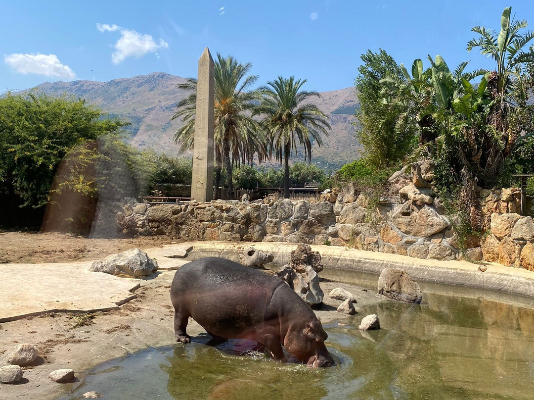Bioparco Di Sicilia-Carini必去景点