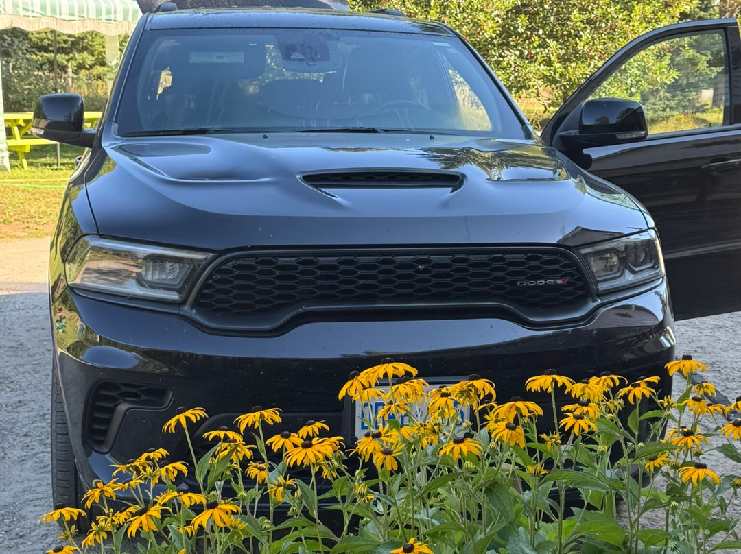 Riverside Motel Dwight主图