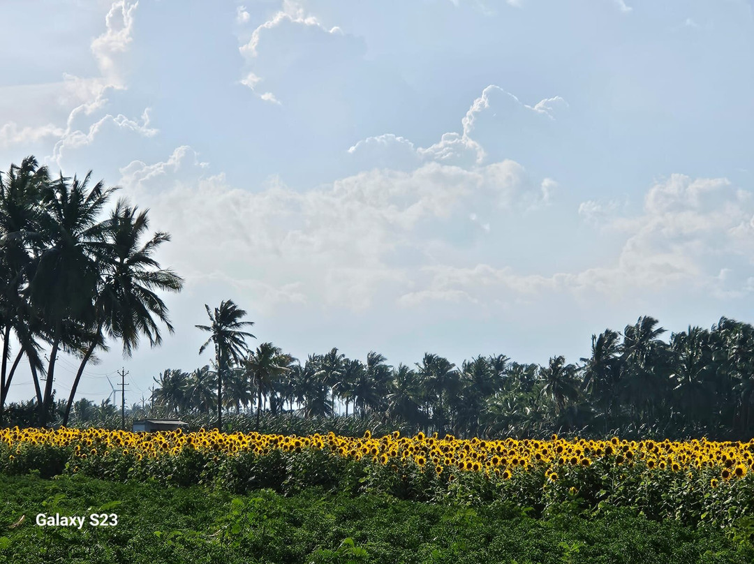 Coutrallam Water Falls From South Tamil Nadu-Tirunelveli必去景点
