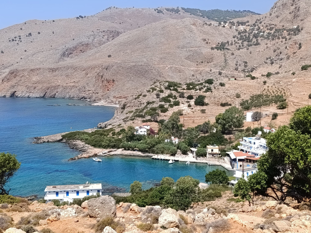 The Old Phoenix主图