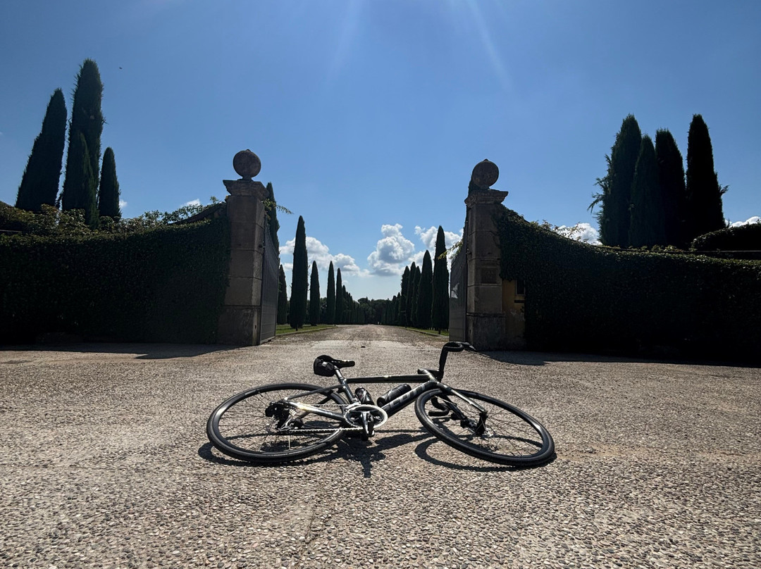Tuscany Bicycle-加约莱因基安蒂必去景点