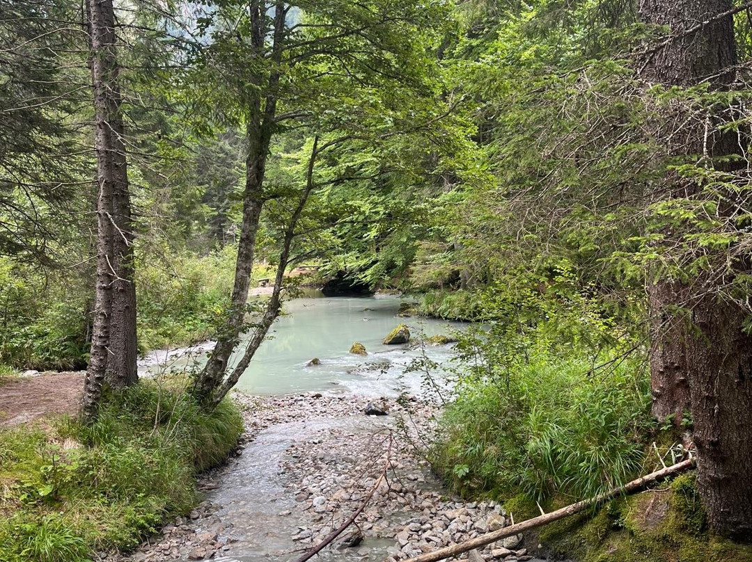 Val Nambrone-马多纳迪坎皮格里奥必去景点