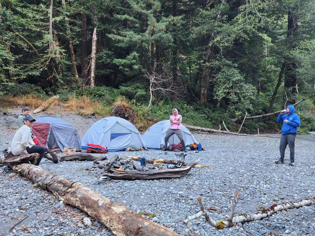 Wildtrail Tours-Arcata必去景点