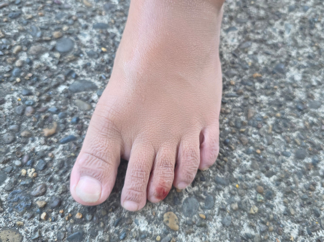 Embarcadero Resort Hotel and Marina主图