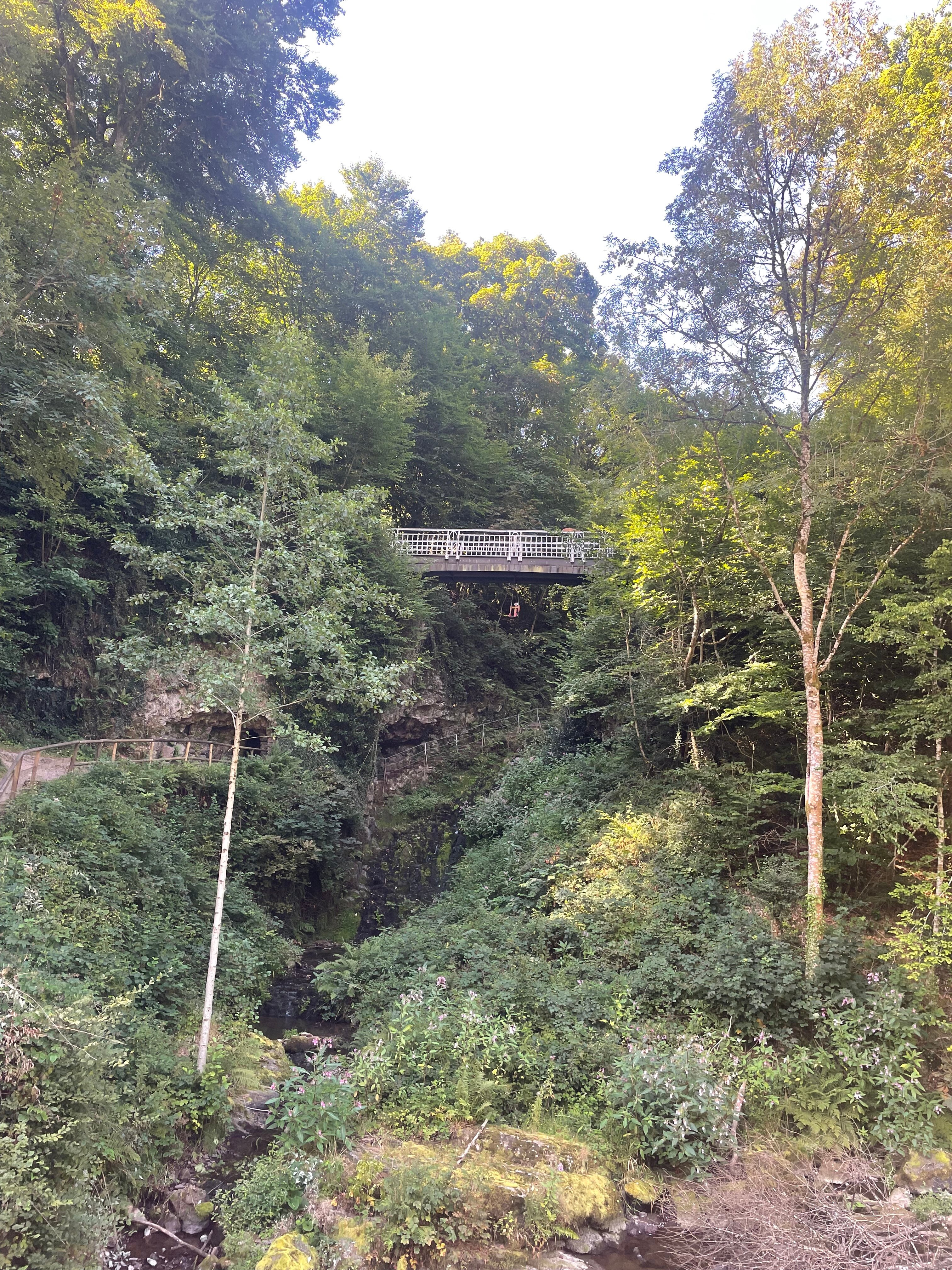 Residenz Hotel-Cafe-官方