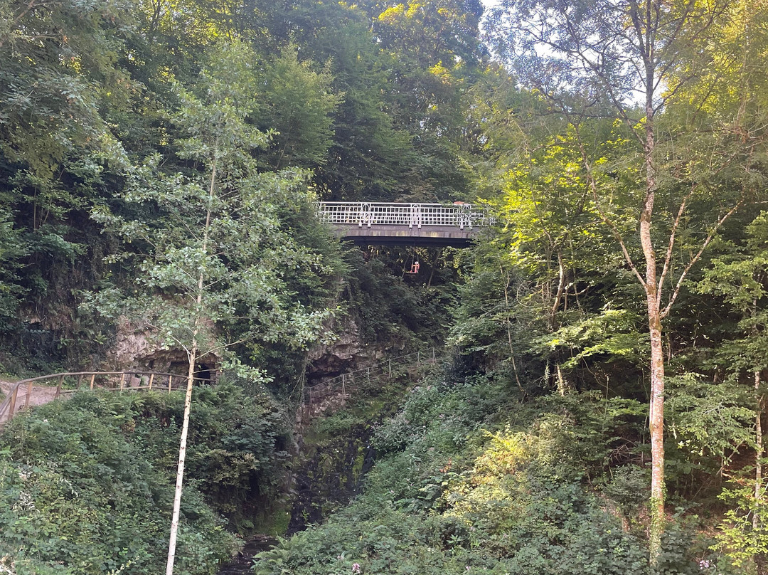 Residenz Hotel-Cafe主图