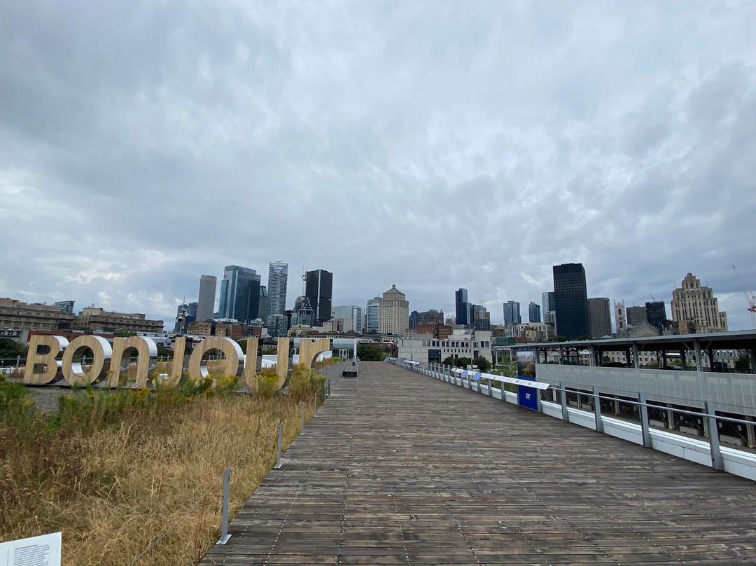 Toonie Tours Toronto-多伦多必去景点