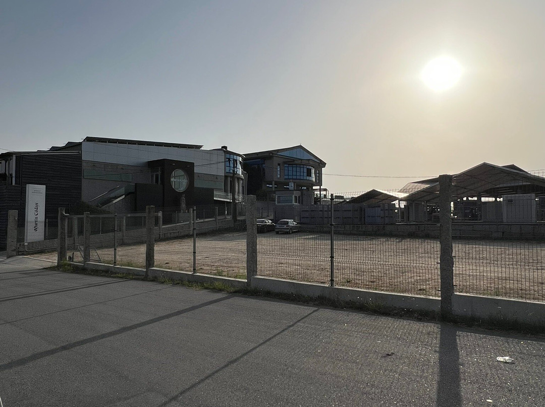 Bodegas Martin Codax-Cambados必去景点