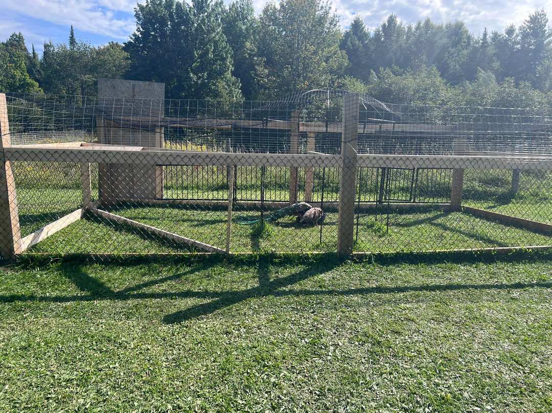 Harmony Acres Ranch & Petting Farm-Cornville必去景点