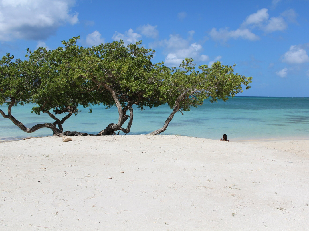 Surfside Beach-奥腊涅斯塔德必去景点