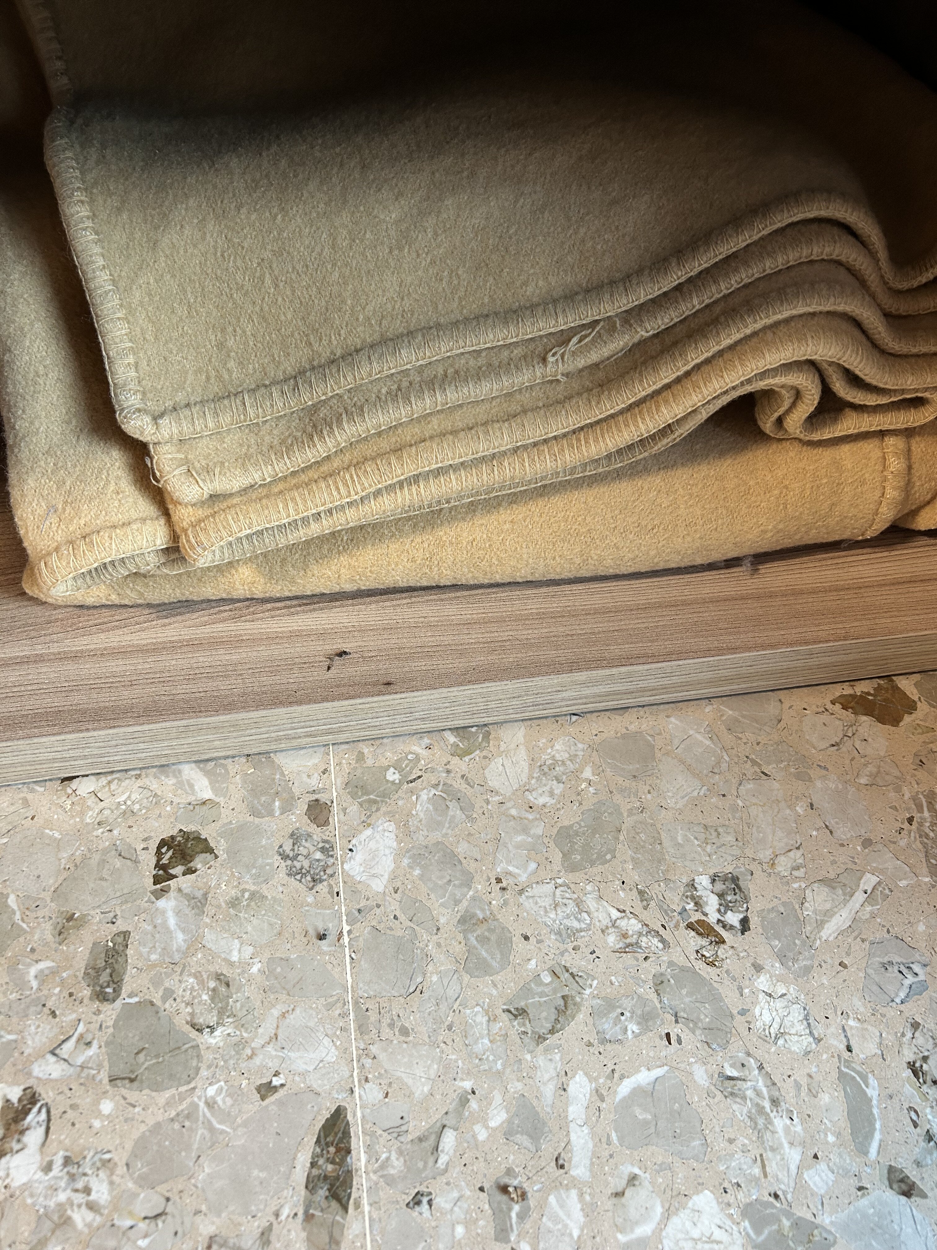 Hotel Ti Bionda Suisse-官方