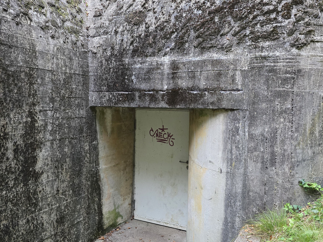 Bunkermuseum Antwerpen-安特卫普必去景点