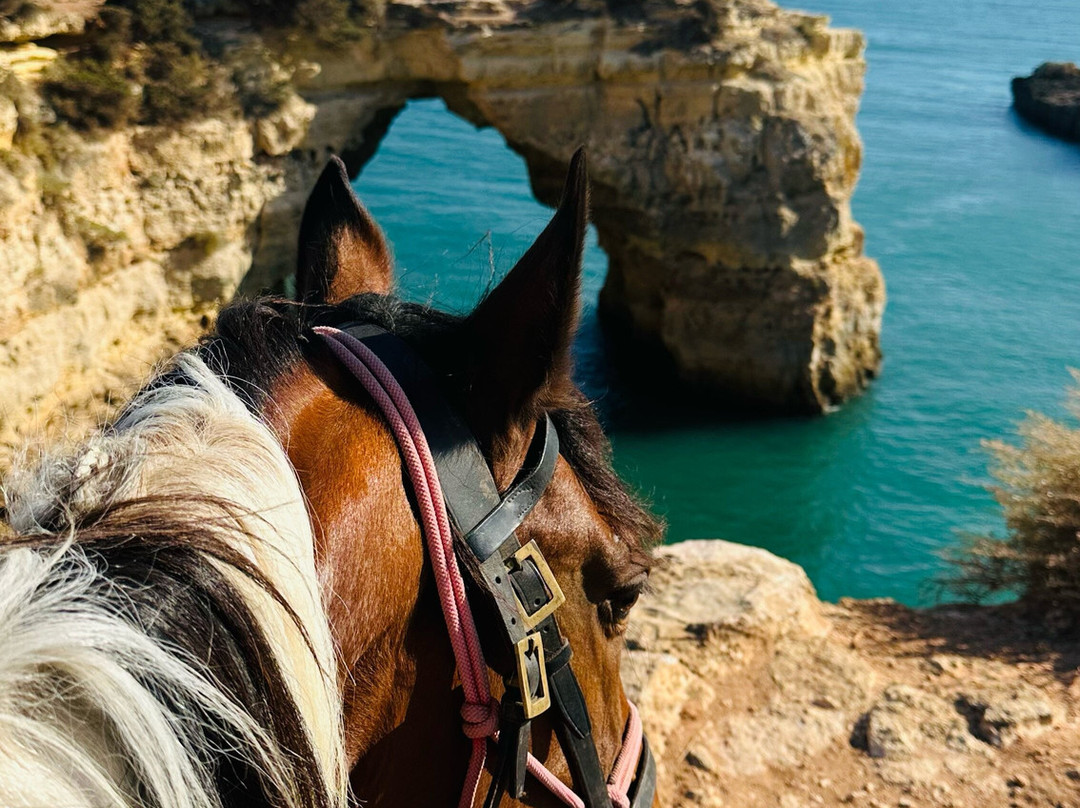 Solid Rocks Algarve Horse Trail Adventures-Porches必去景点