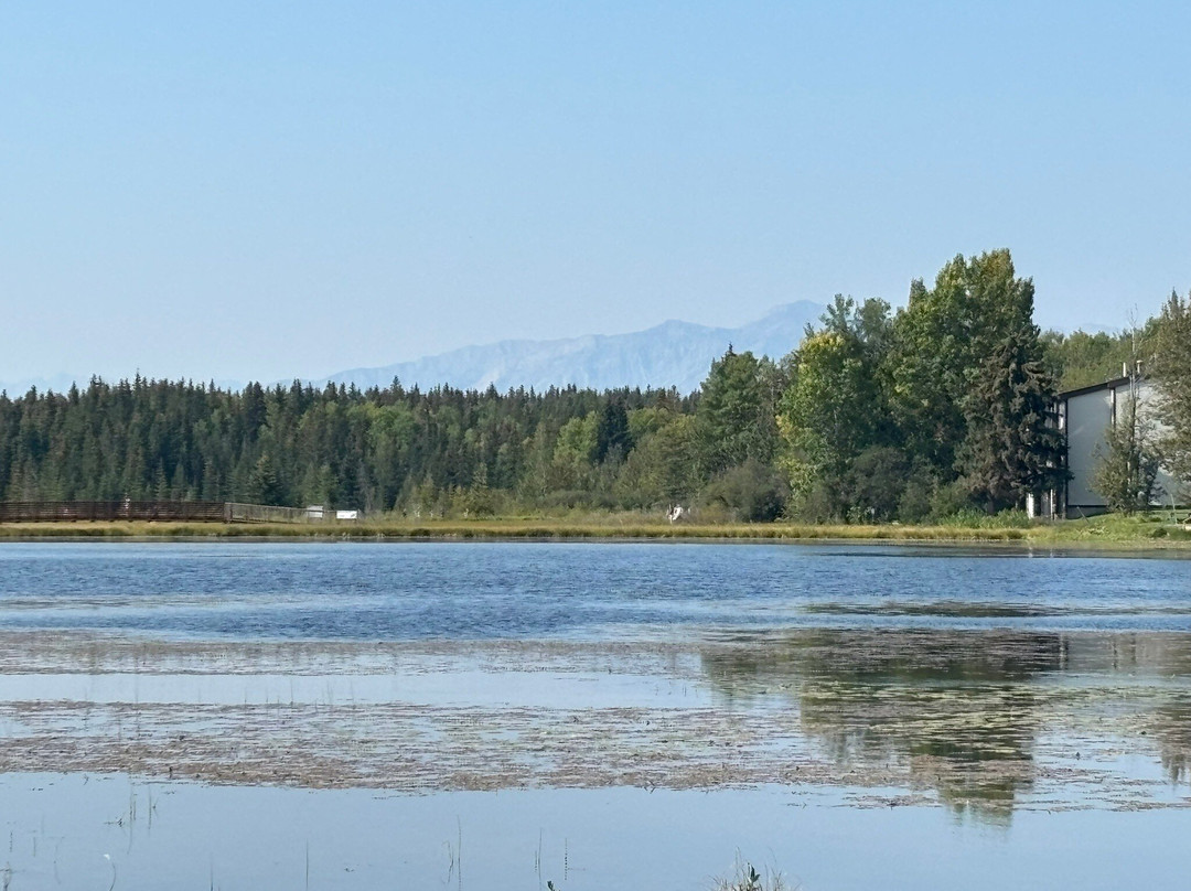 河狸木板路-兴顿必去景点