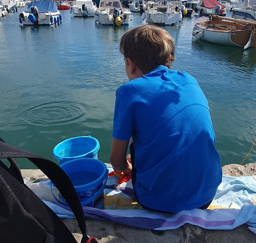 Lyme Regis Beach-莱姆里杰斯必去景点