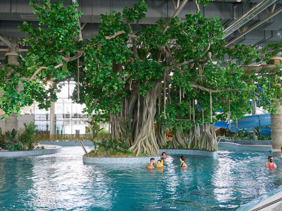 Amazonia Aquapark-蒂米什瓦拉必去景点