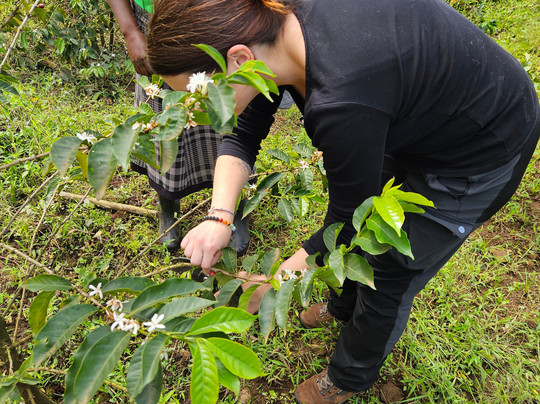 4x4 Uganda-恩德培必去景点