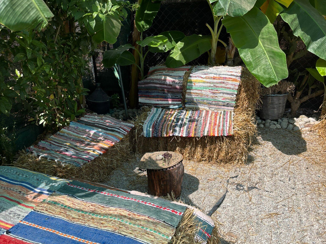 Aloe Vera & Herbal Health Farm-Fanes必去景点