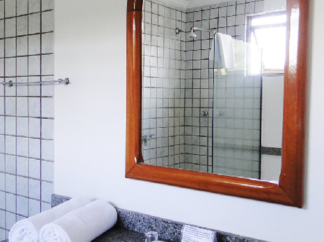 Hotel Lopes de Caxambu主图