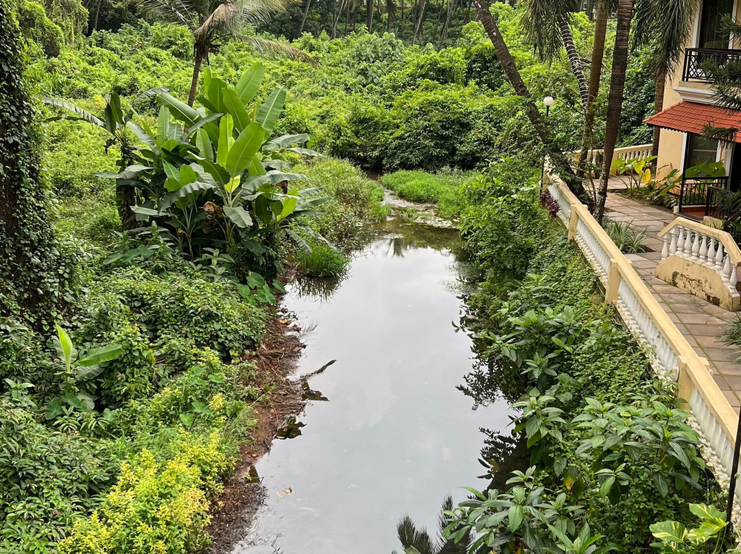 DEVASTHALI - the Valley of Gods主图