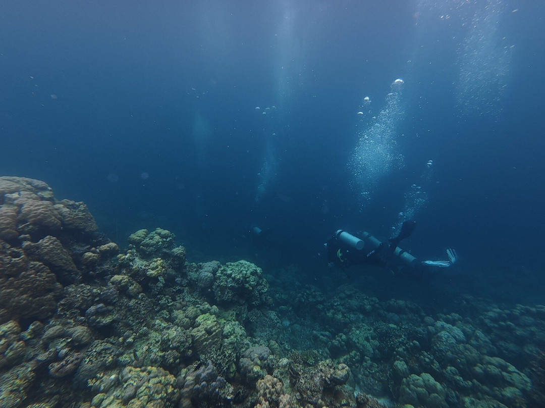 琴多南岛度假&潜水中心主图