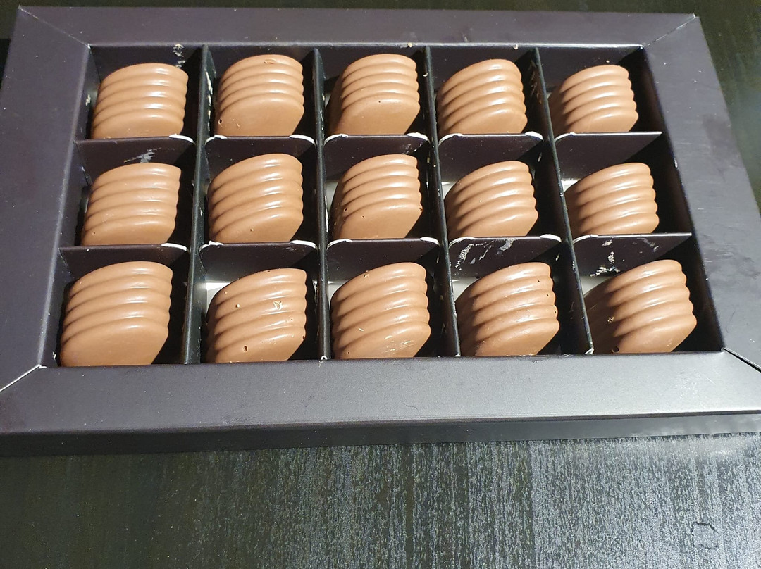 The Cocoa Forest-耶路撒冷必去景点