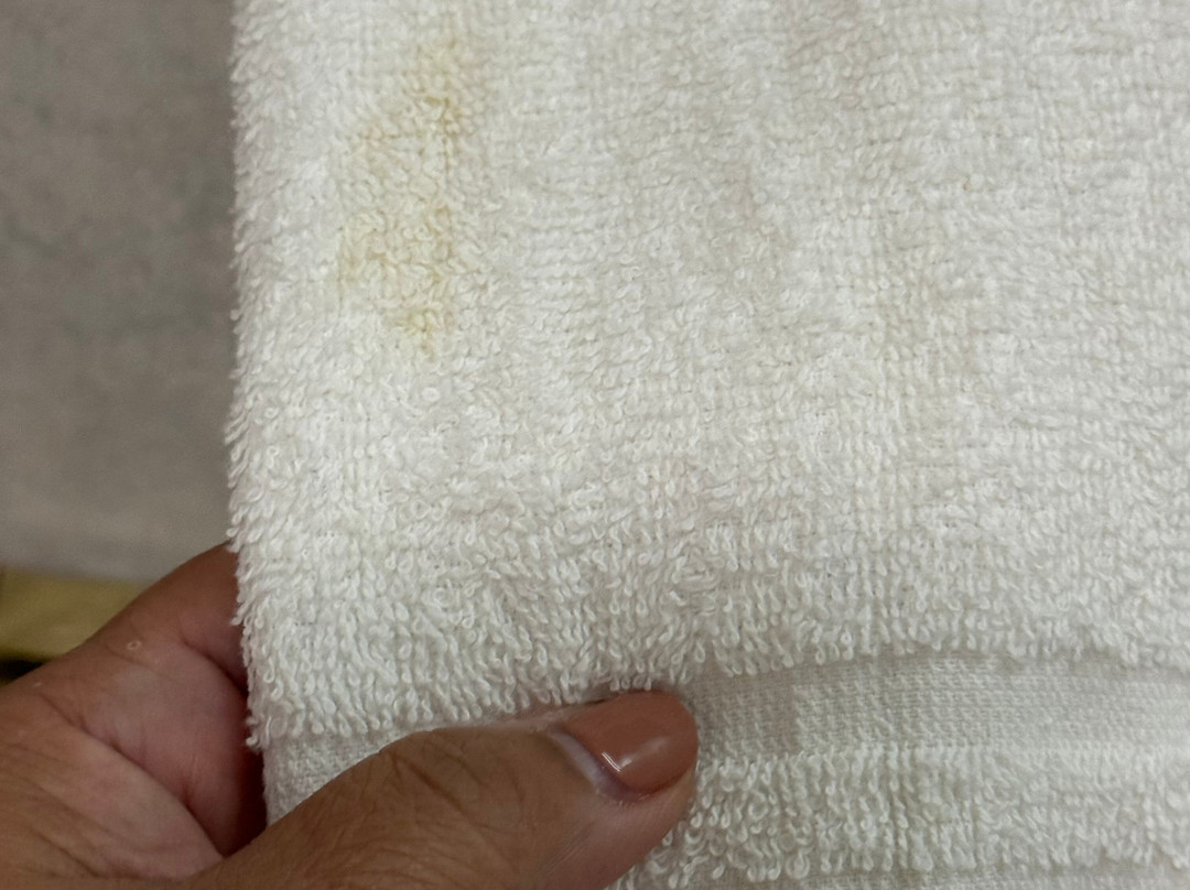 贝斯特韦斯特奥格尔斯比酒店主图