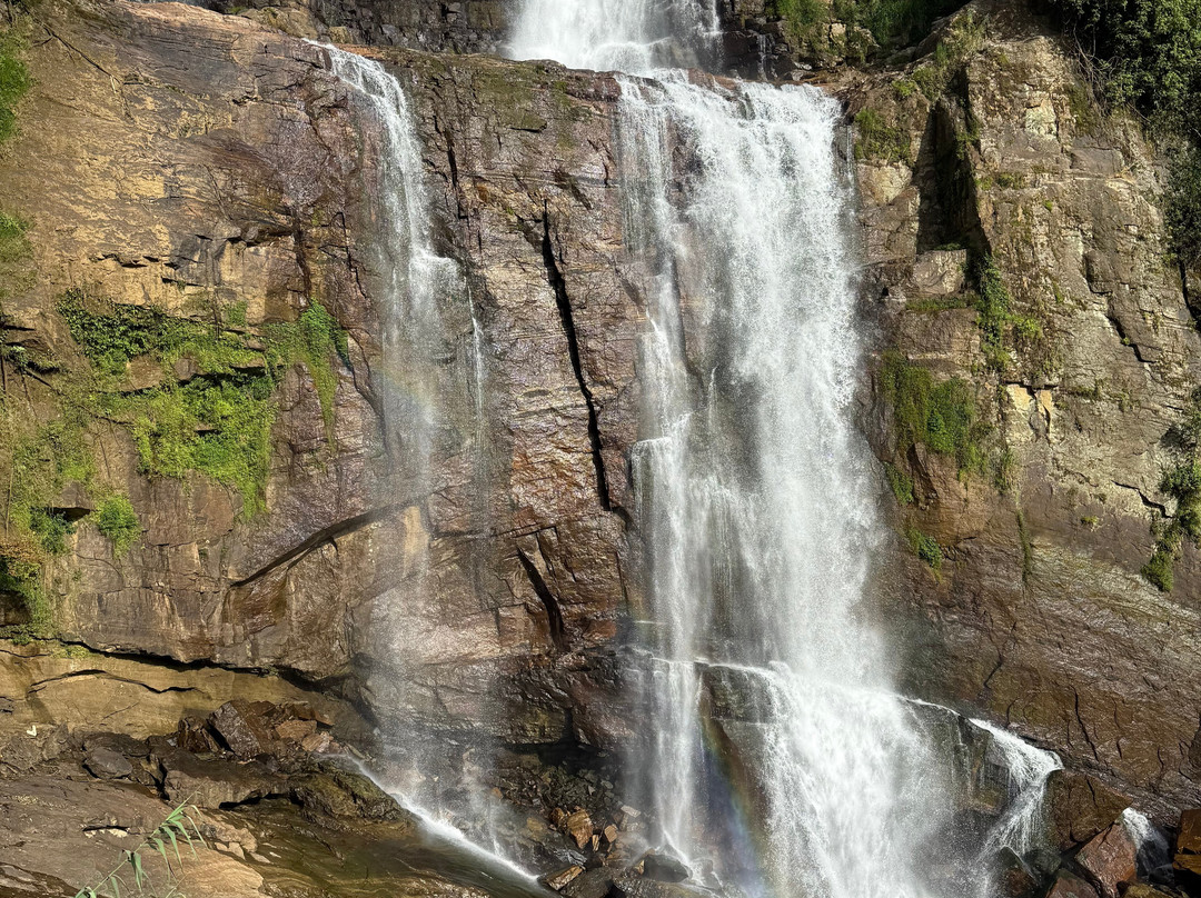 mini tuk tuk nanuoya tours-Nanu Oya必去景点