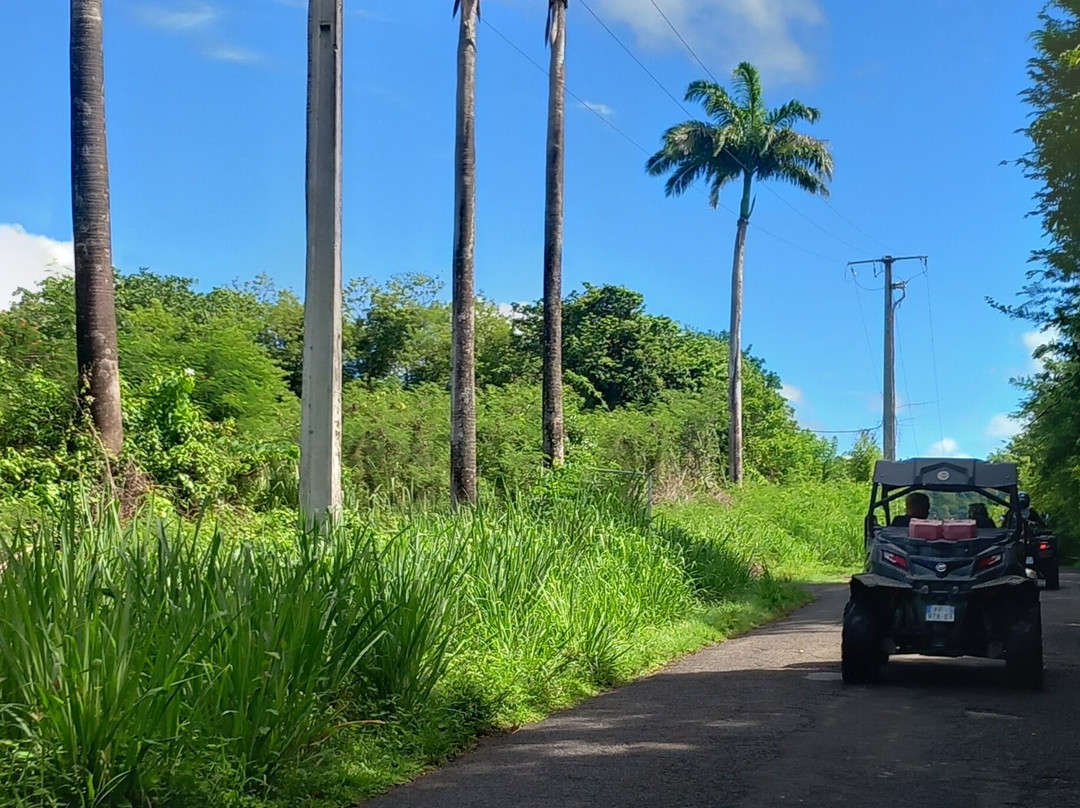 BUGGY Quad Martinique-Le Diamant必去景点