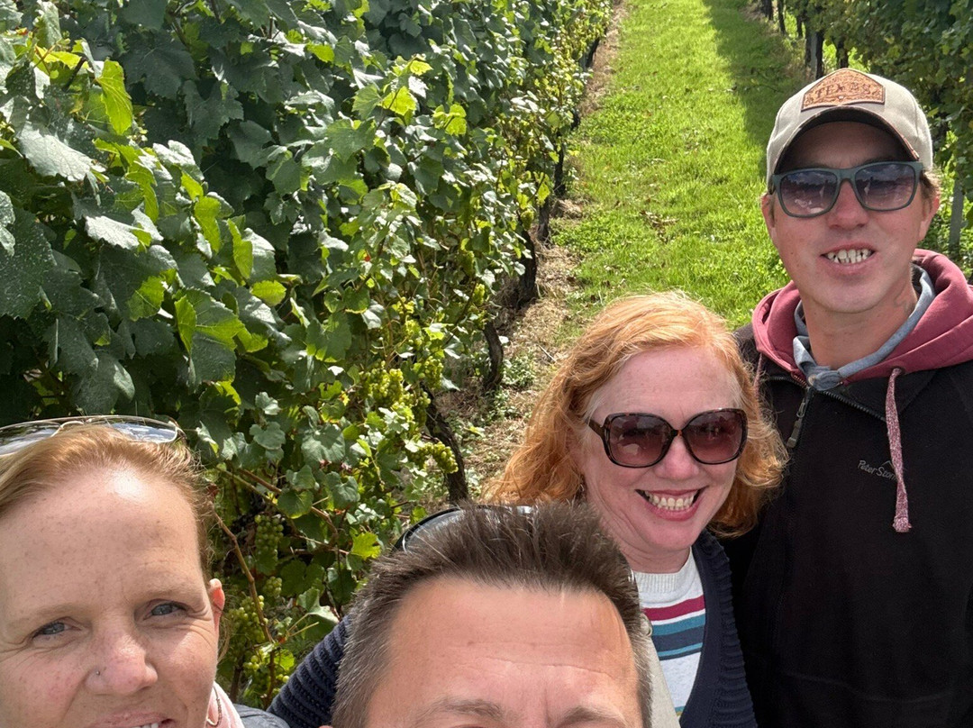 English Oak Vineyard-Lytchett Matravers必去景点