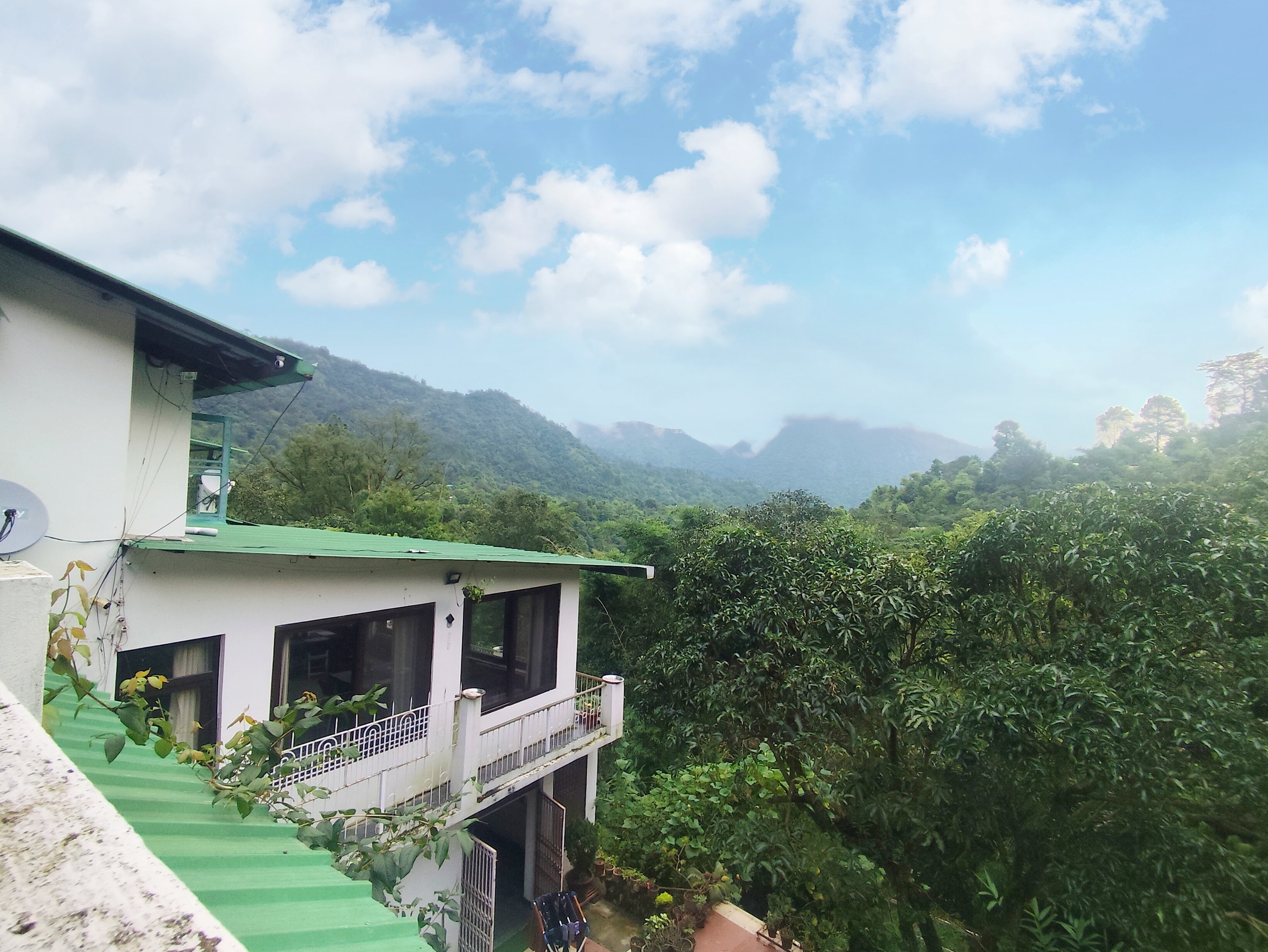 Experto The Greens-官方