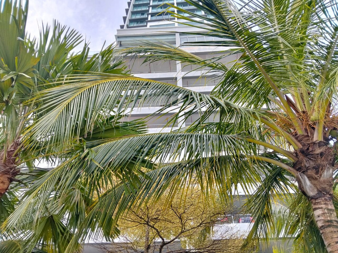 Hompton By The Beach Penang主图