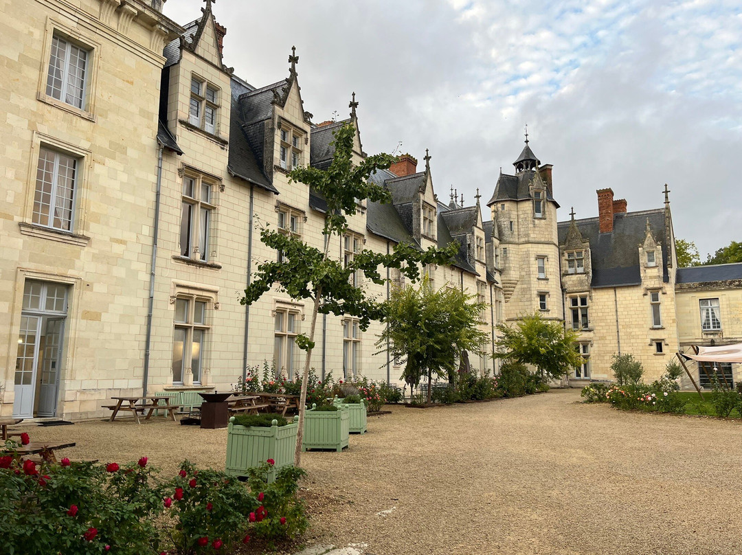 Dissay酒店住宿-Chateau de Dissay