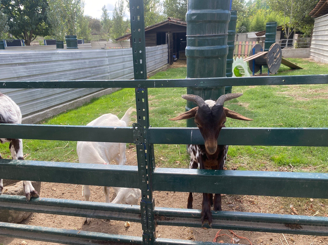 Quinta Pedagógica Quinta das Manas-吉马良斯必去景点