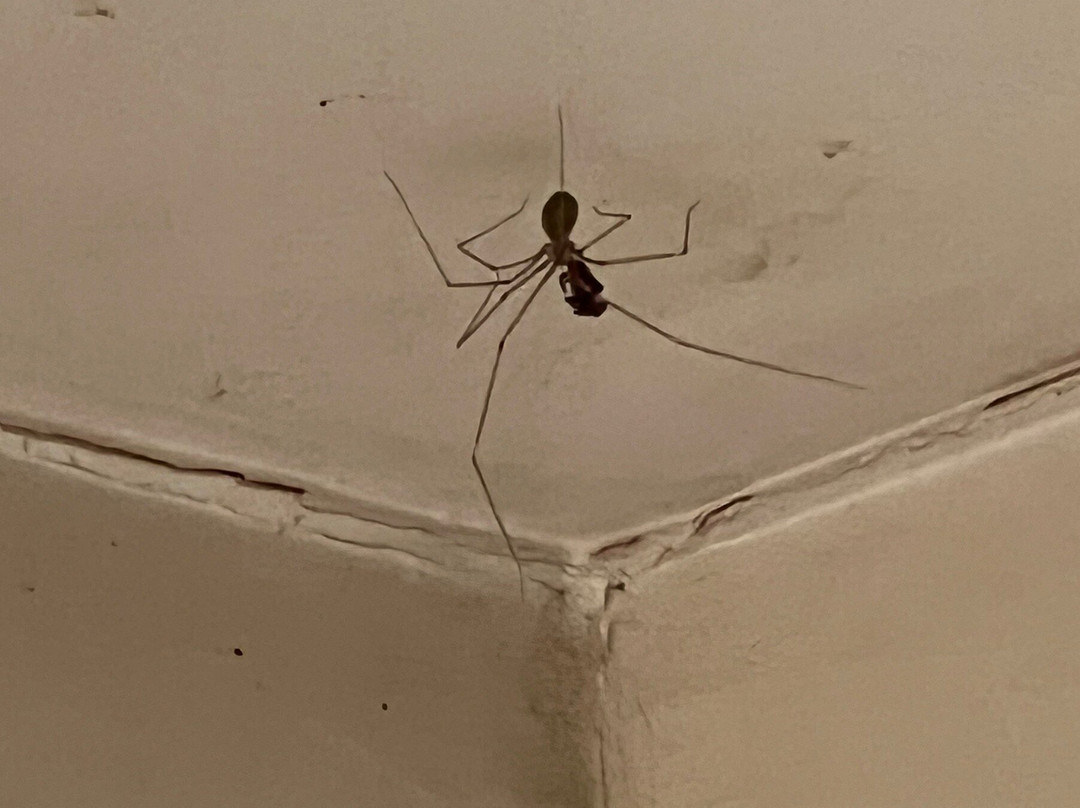 Bergstrom Hotel Lüneburg