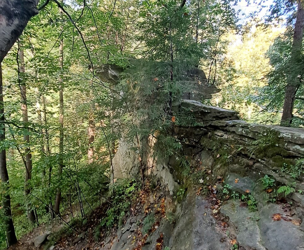 Shades State Park-Waveland必去景点