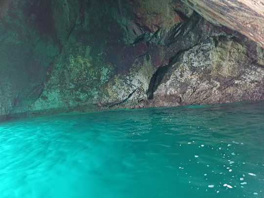 Salty Gecko Boat Tours-塞新布拉必去景点