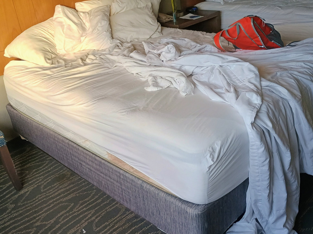 梅多兰兹锡考克斯拉金塔套房酒店主图