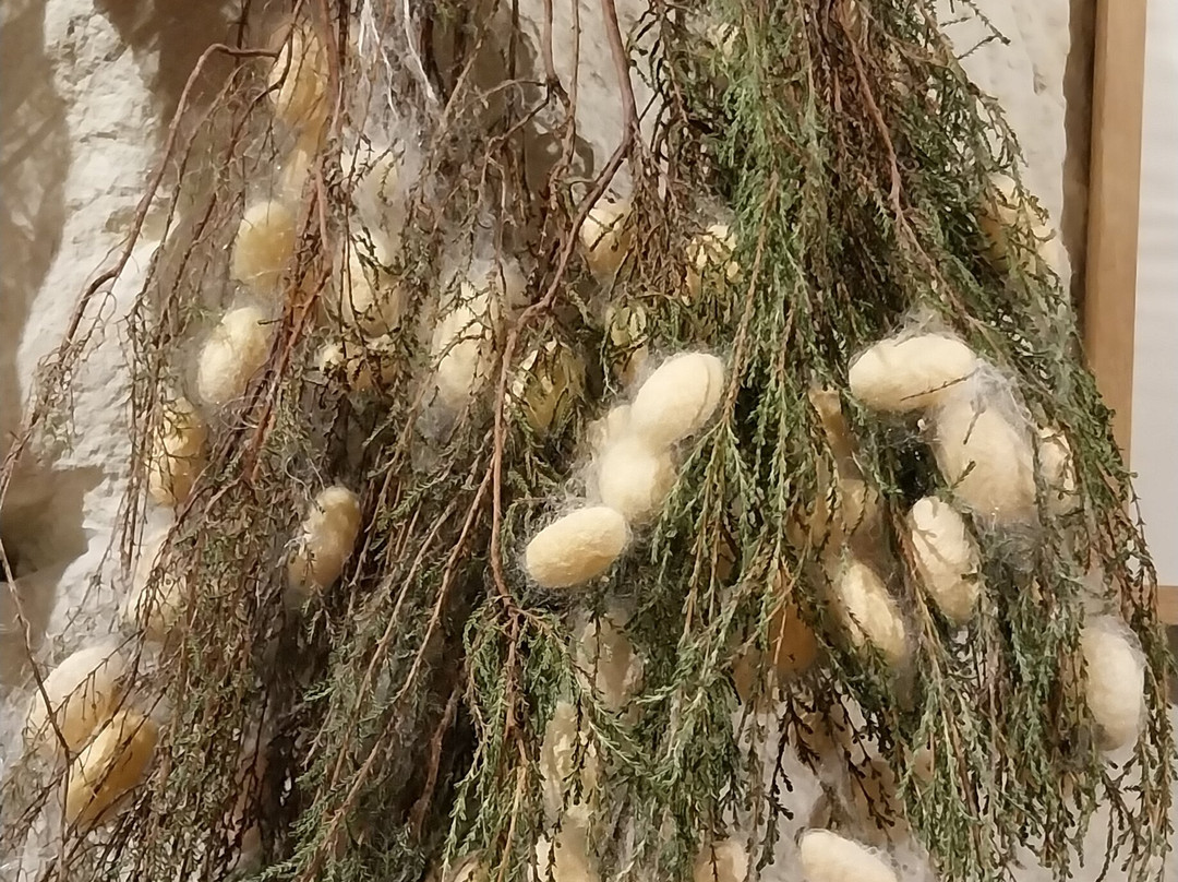 La Magnanerie-Bourre必去景点