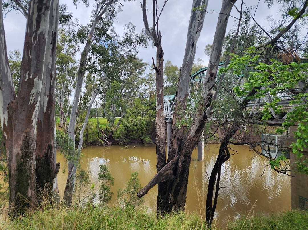 Macintyre Riverwalk-Goondiwindi必去景点