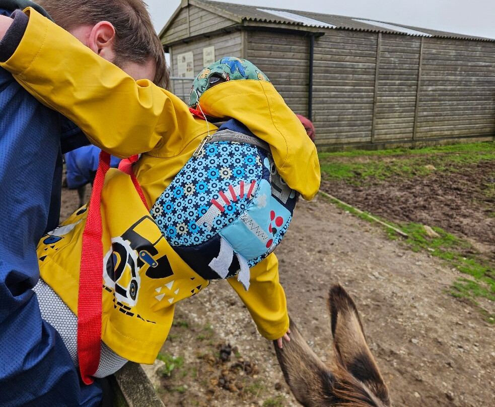 The Flicka Foundation - Donkey Sanctuary-Penryn必去景点