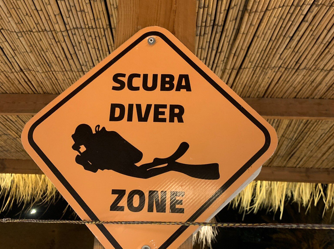 Subway Diving Centre-马赫迪耶必去景点