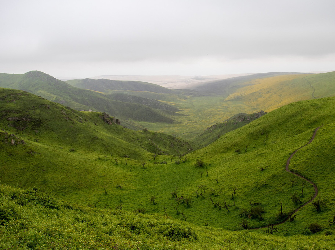 Reserva Nacional Lomas de Lachay-Huaral必去景点