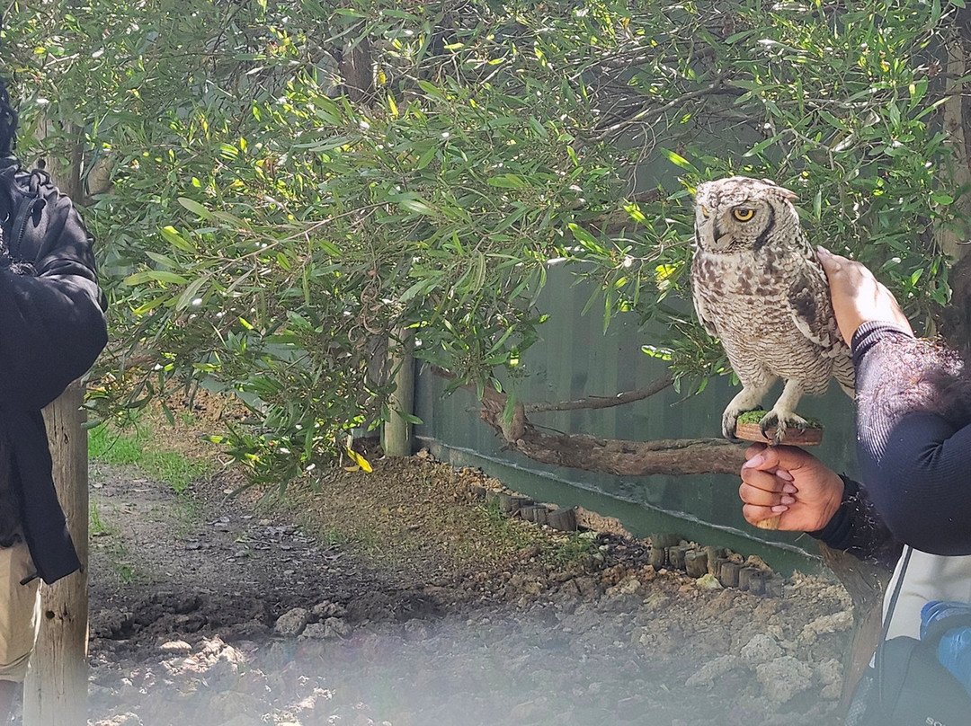 Giraffe House Wildlife Awareness Centre-斯泰伦博斯必去景点