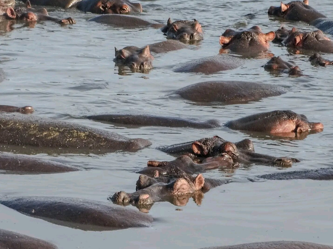 Mamnana Adventures-Olasiti必去景点